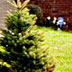 r09